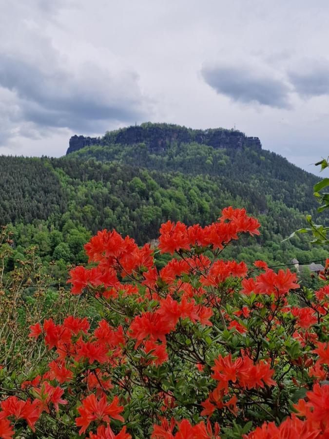 Tinyroom Mit Ausblick Königstein Exterior foto